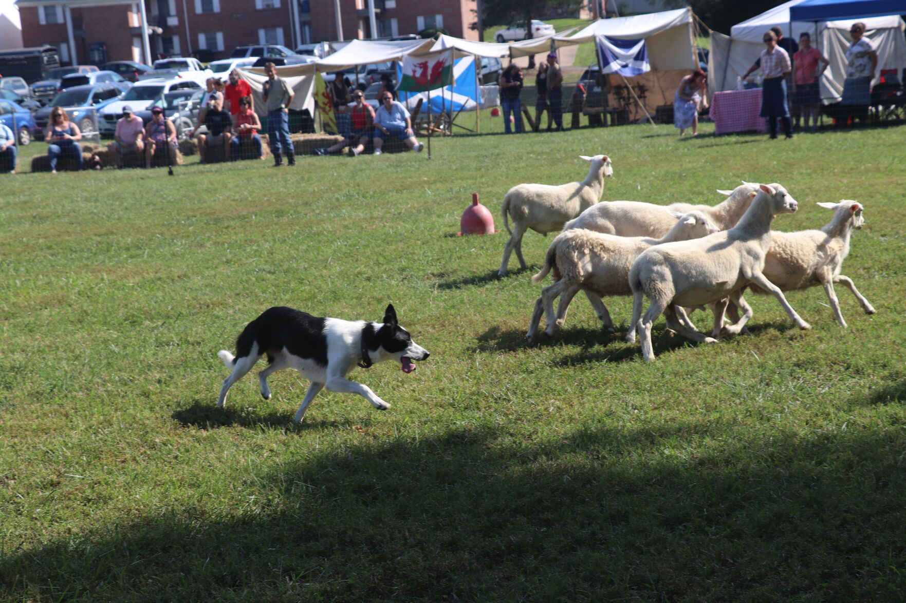 091022 Celtic Festival WKS 4.JPG